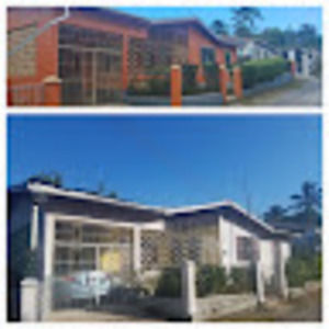 Meet your Posher, Marlene